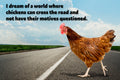Chicken Motives Metal Sign image 0
