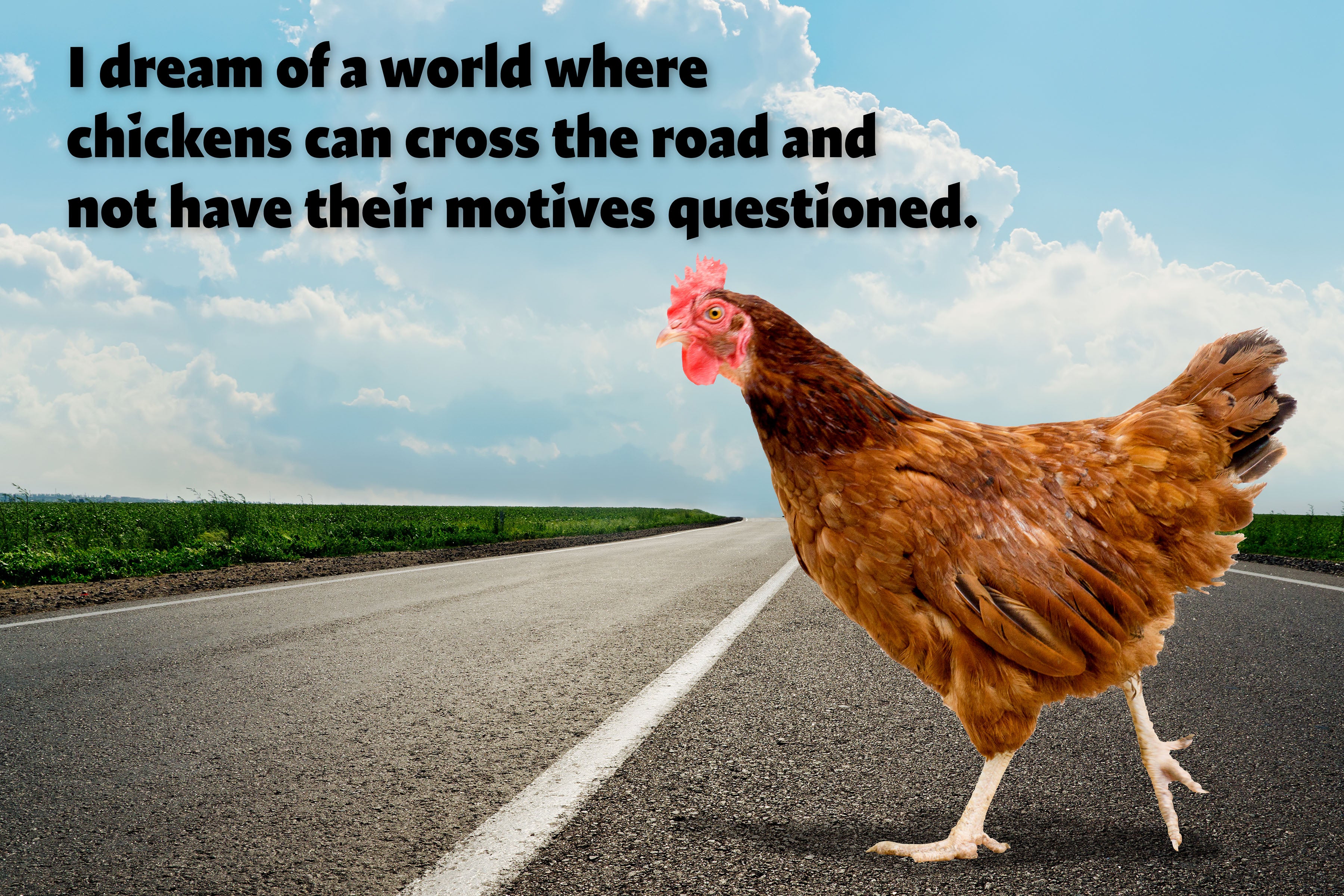 Chicken Motives Metal Sign image 0