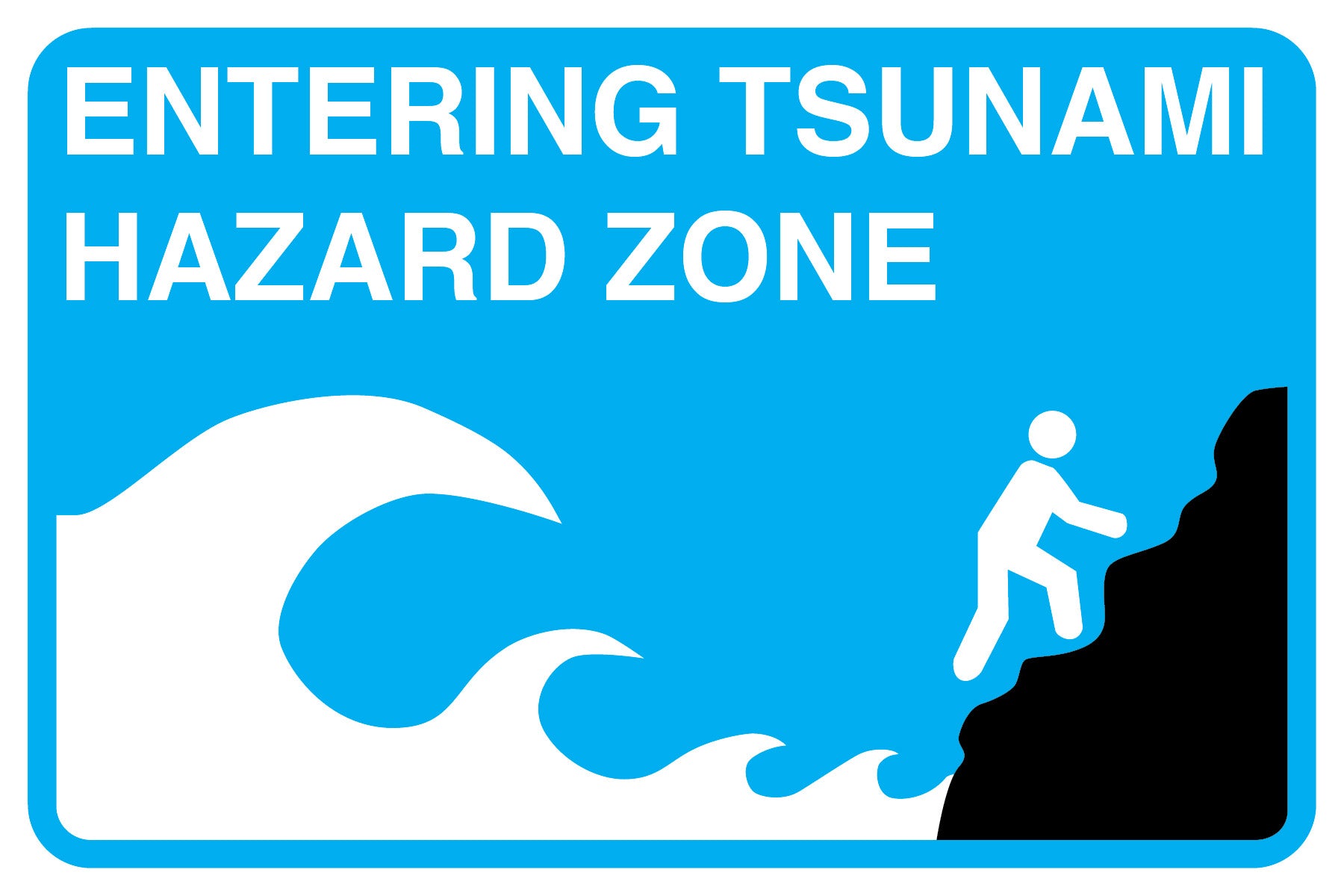 Tsunami Hazard Metal Sign image 0